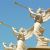 Three Angels, Going, Going...!!!