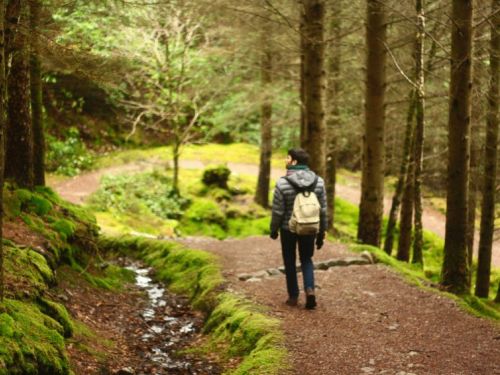 Forest Bathing - Boost  Anticancer Immunity