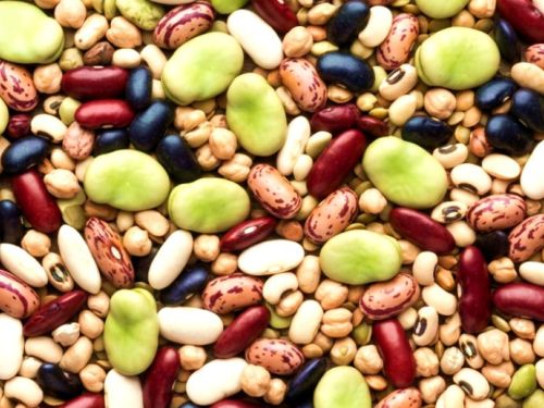 Which Beans Best Block  The Spread of Cancer