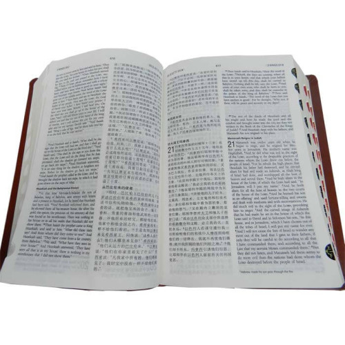 Chinese English Parallel Bible