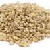 Barley Grain, Pearled