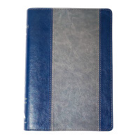 KJV Mission Study Bible Sapphire Silver KJV Mission Study Bible Sapphire Silver