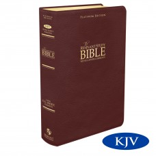 Platinum Remnant Study Bible KJV Maroon Leather Indexed