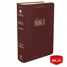 Platinum Remnant Study Bible NKJV Maroon Leather