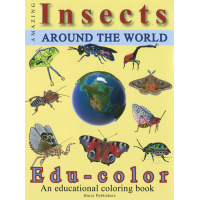 Amazing Insects Around the World