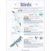 Names for All the Animals