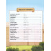 Read Again and Again New Testament Bible Storybook