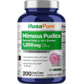 Mimosa Pudica Capsules