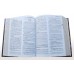 Natural Remedies Encyclopedia (Hardback)