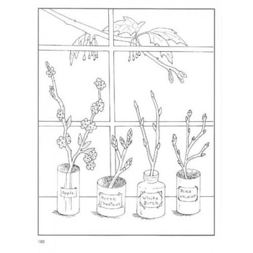 Grade 2 Science Workbook