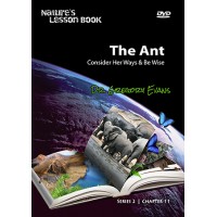 Nature's Lesson Book - The Ant (Chapter 11)