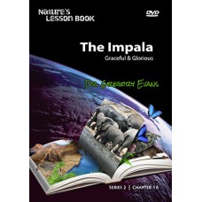 Nature's Lesson Book - The Impala (Chapter 16)